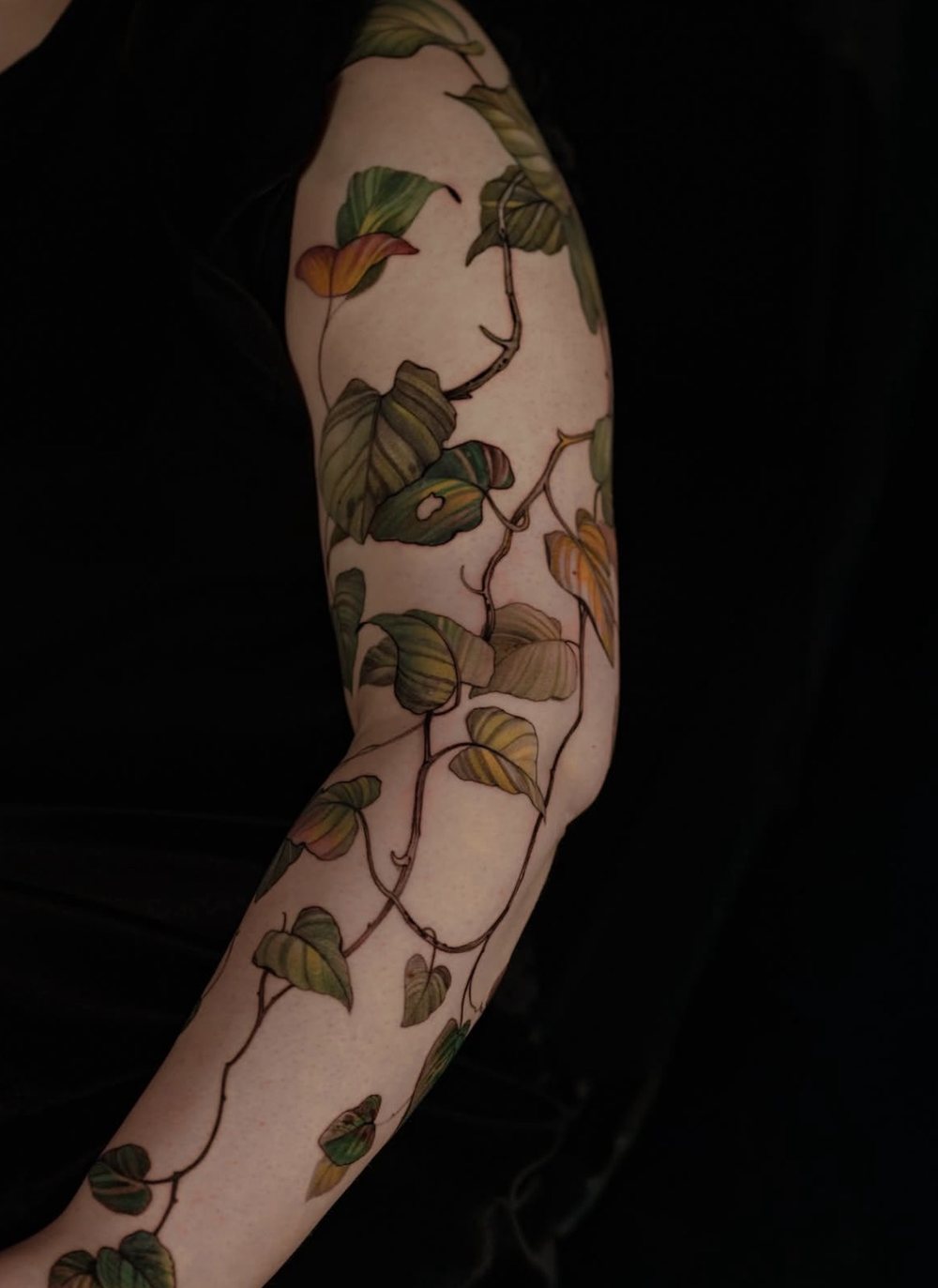 Efeuranke als botanisches Tattoo über den ganzen Arm, in Farbe, von Misha, Velvet Line Karlsruhe