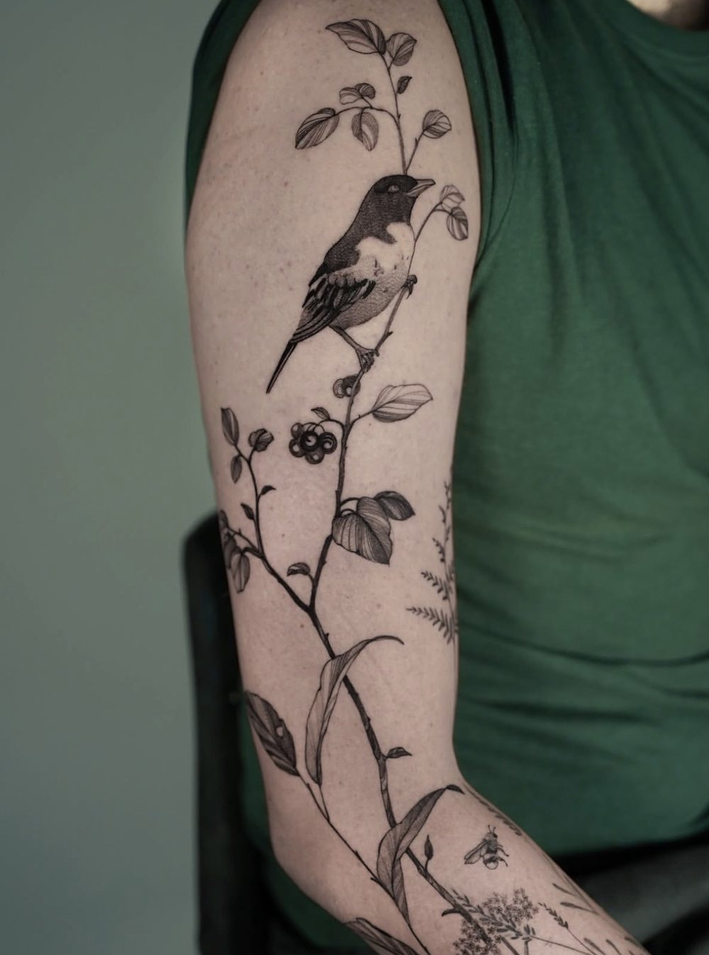 Vogel auf Zweig mit Blättern, botanisches Fine Line Tattoo am Arm, von Misha, Velvet Line Karlsruhe