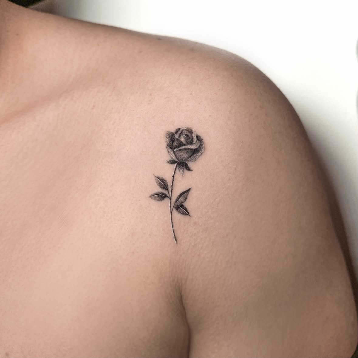 Rose · Fine Line · Schulter · Tattoo von Inna, Velvet Line Karlsruhe