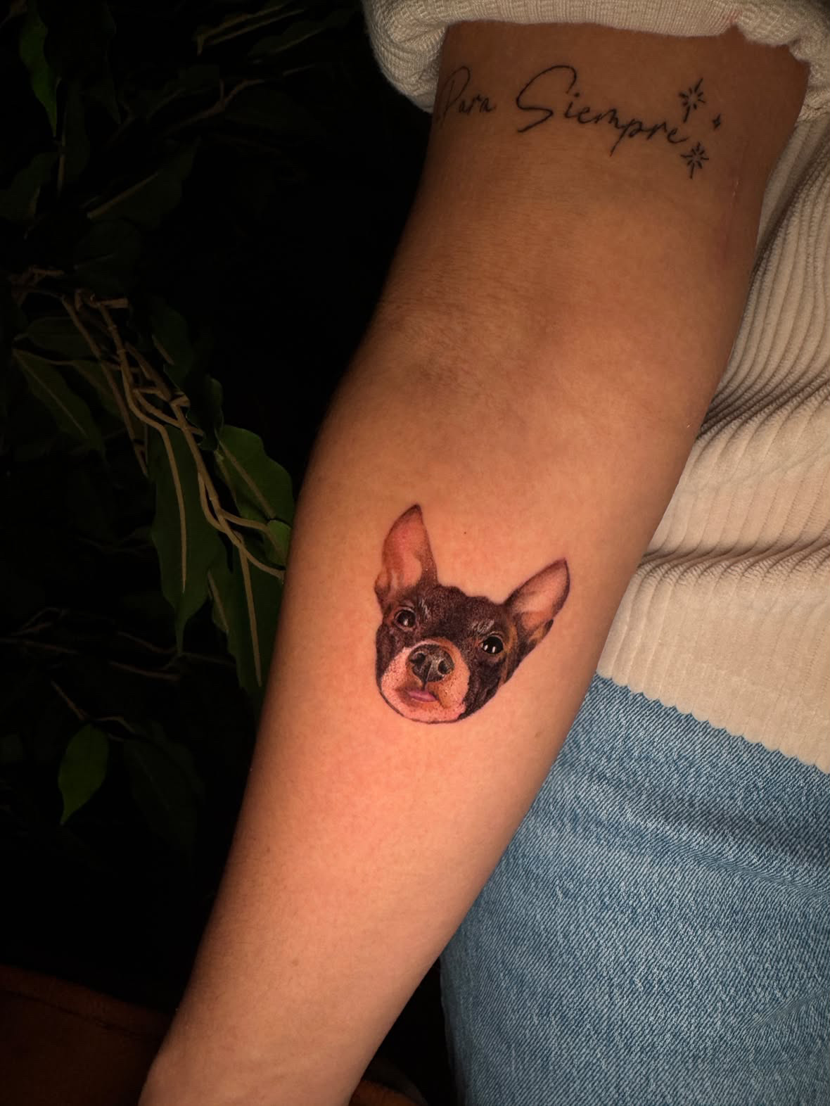 Hundeporträt · Mikro-Realismus in Farbe · Unterarm · Tattoo von Inna, Velvet Line Karlsruhe