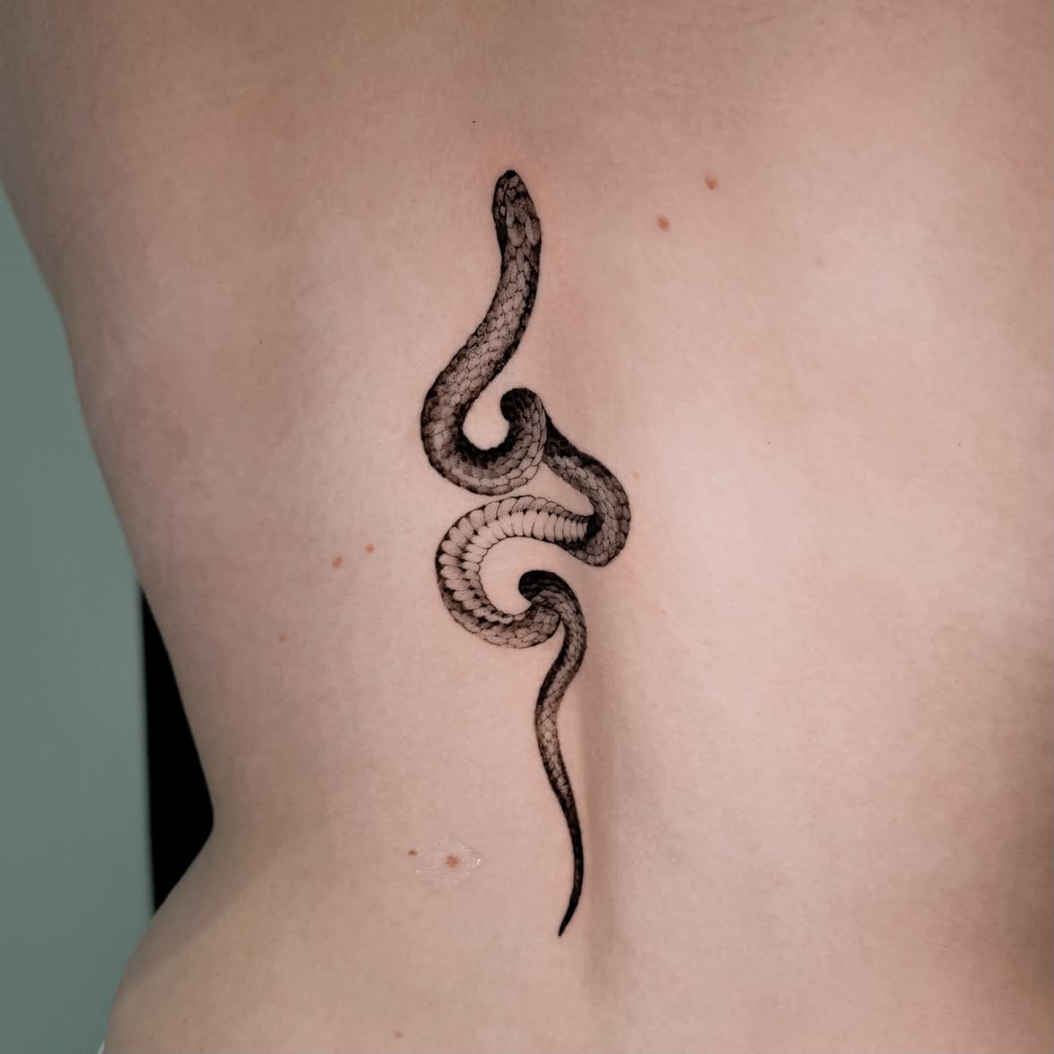 Schlange · Mikro-Realismus Black & Grey · Rücken · Tattoo von Inna, Velvet Line Karlsruhe