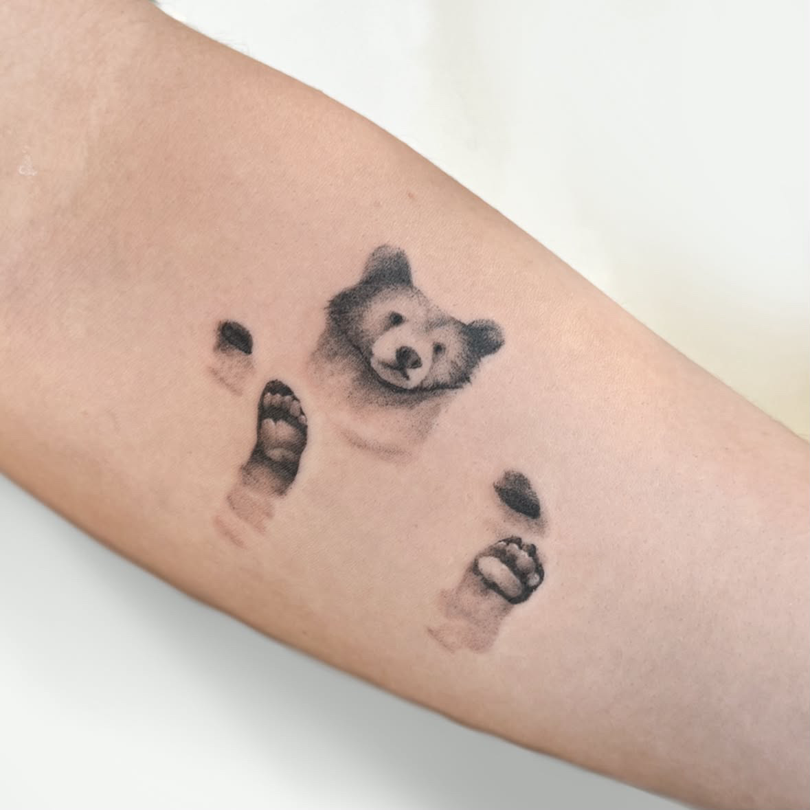 Bär · Mikro-Realismus Black & Grey · Unterarm · Tattoo von Inna, Velvet Line Karlsruhe