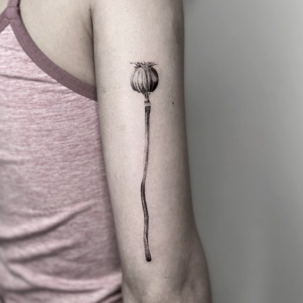 Mohnkapsel mit langem Stiel, feines Micro Realistic Tattoo am Oberarm, von Barni, Velvet Line Karlsruhe