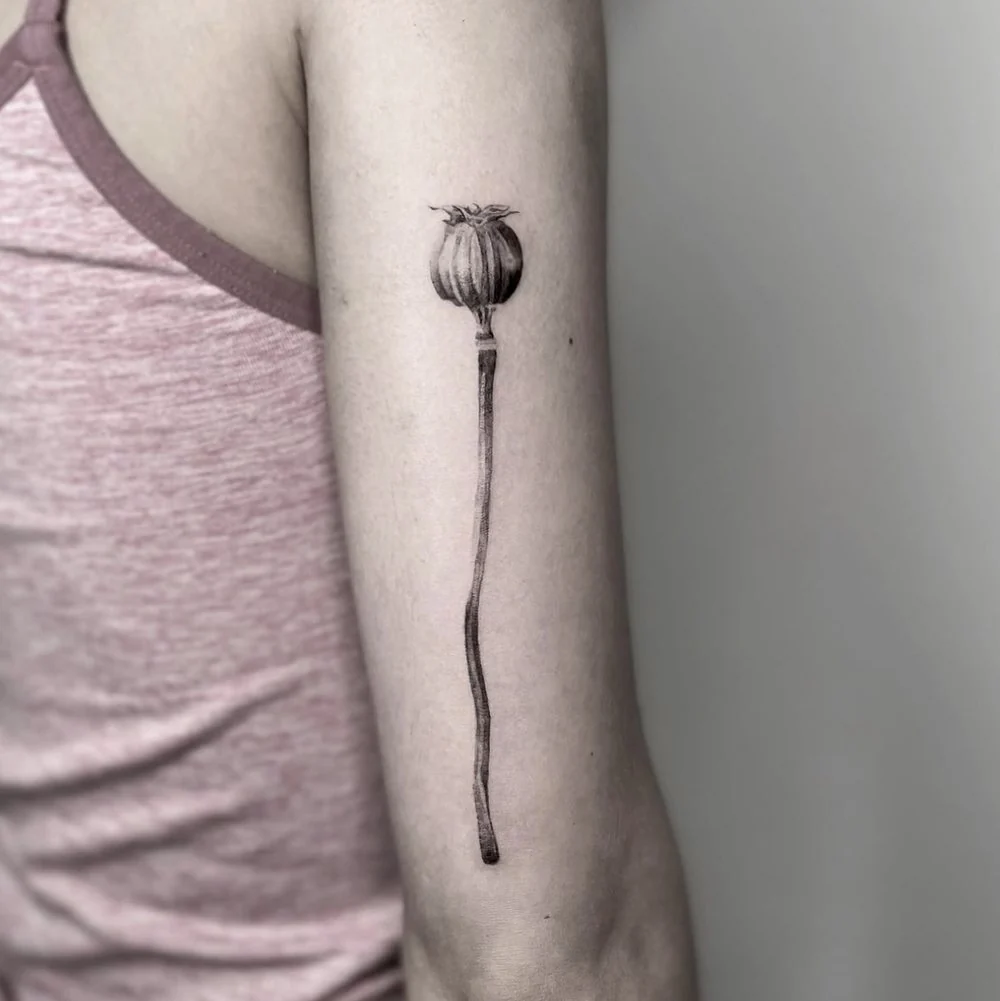 Mohnkapsel · Oberarm · Tattoo von Barni, Velvet Line Karlsruhe