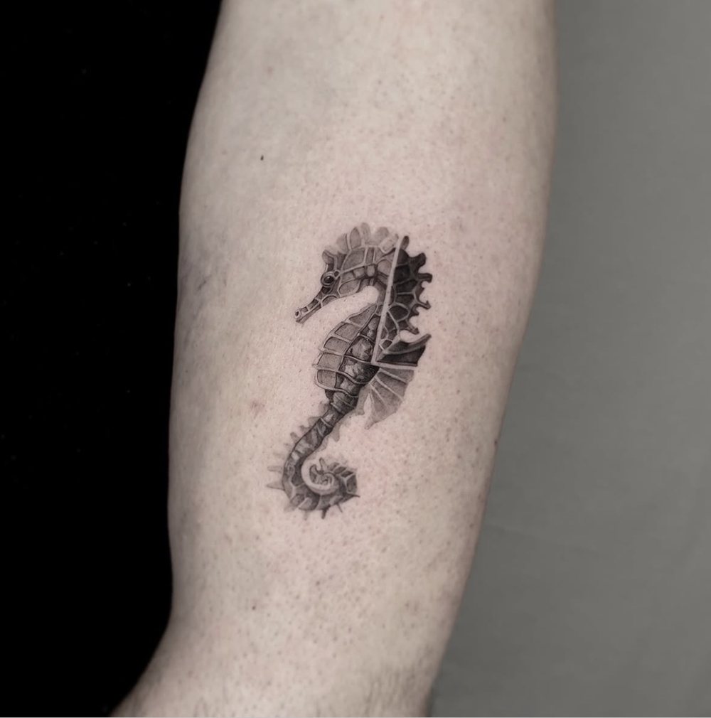 Seepferdchen als Micro Realistic Tattoo am Unterarm, von Barni, Velvet Line Karlsruhe