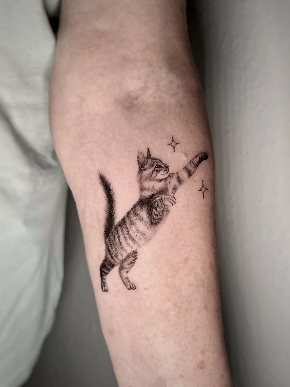 Eine verspielte Katze · Unterarm · Tattoo von Eveline, Velvet Line Karlsruhe