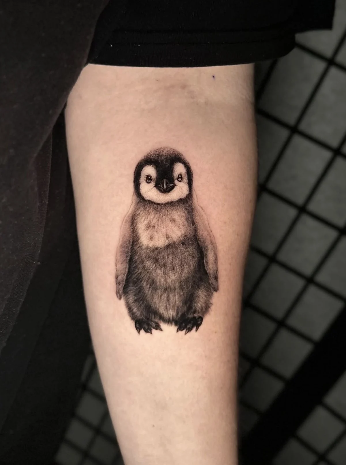 Ein kleines Pinguinküken · Unterarm · Tattoo von Eveline, Velvet Line Karlsruhe