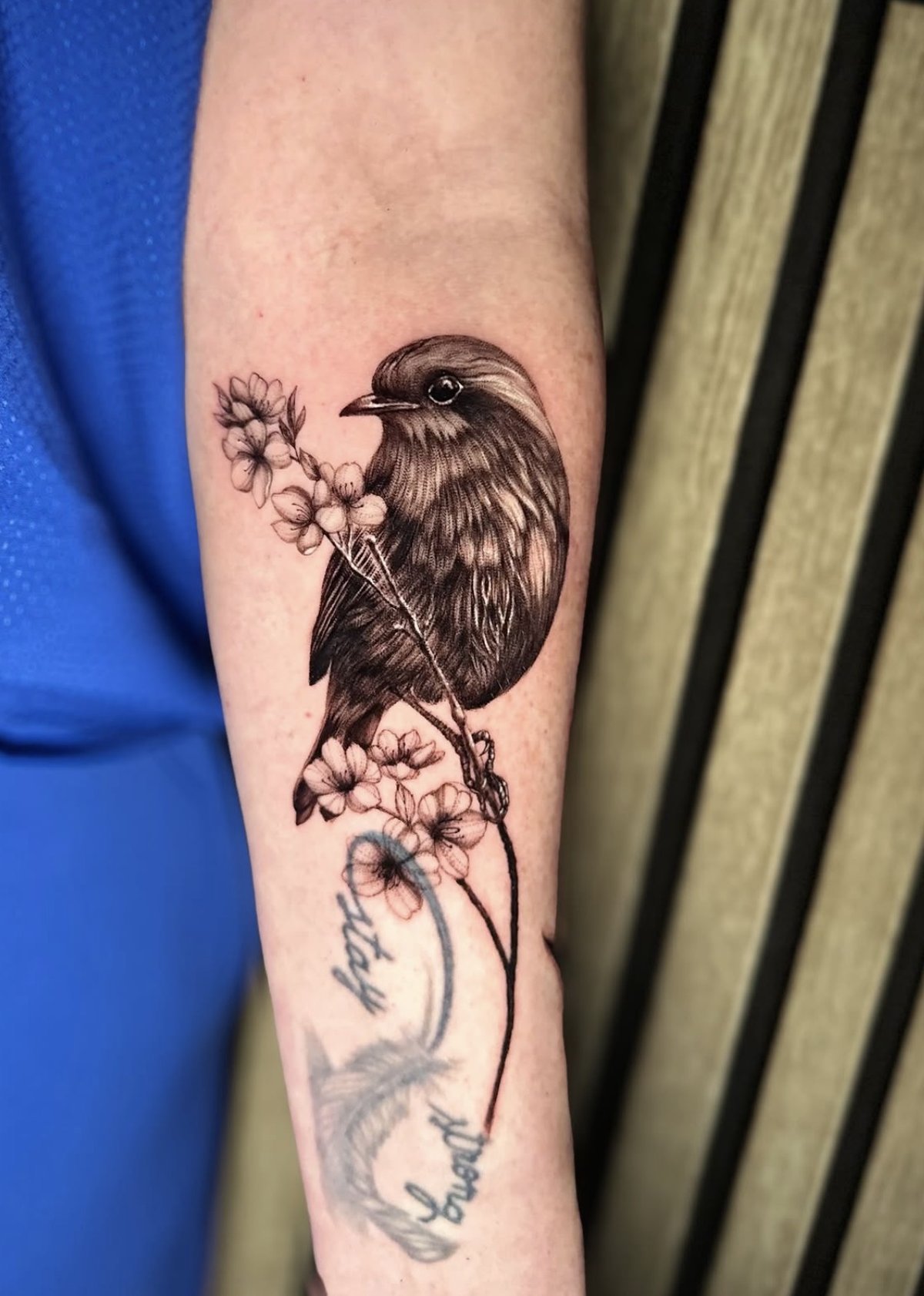 Vogel auf Kirschblütenzweig, Cover-up eines alten Tattoos am Unterarm, von Eveline, Velvet Line Karlsruhe