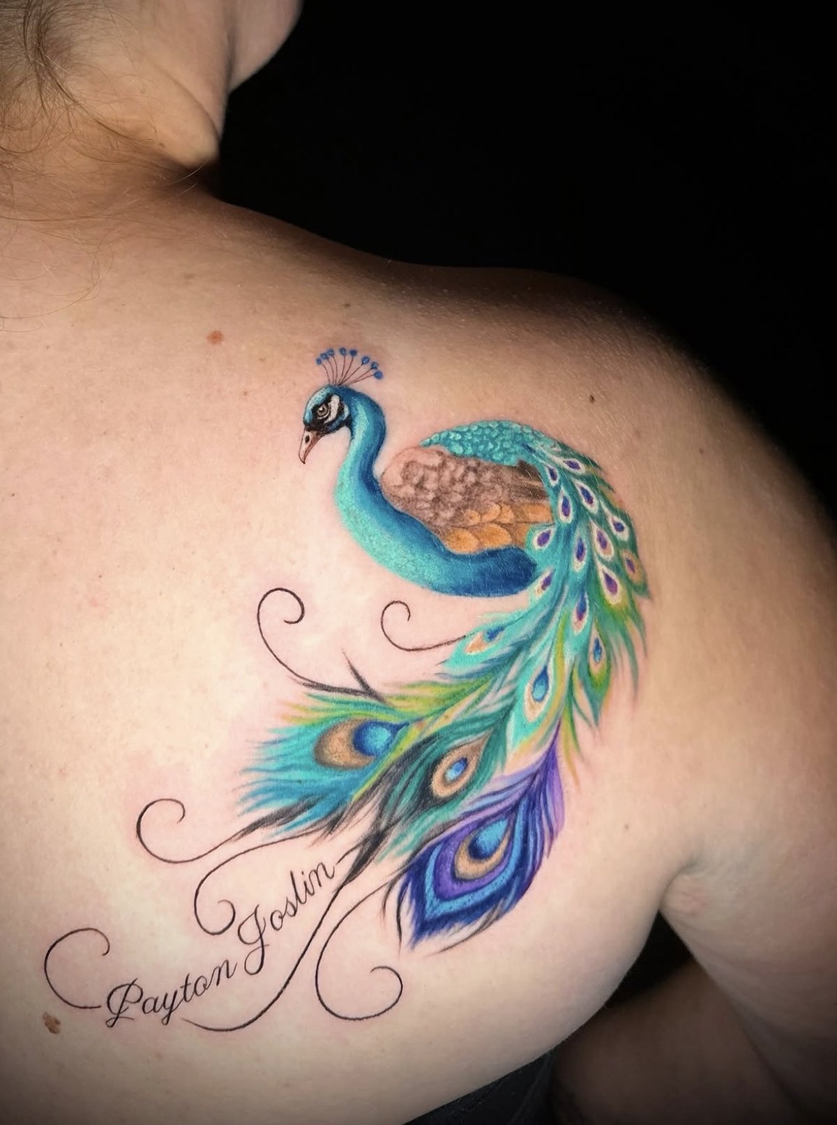 Pfau in Farbe mit feinem Schriftzug am Schulterblatt, von Eveline, Velvet Line Karlsruhe