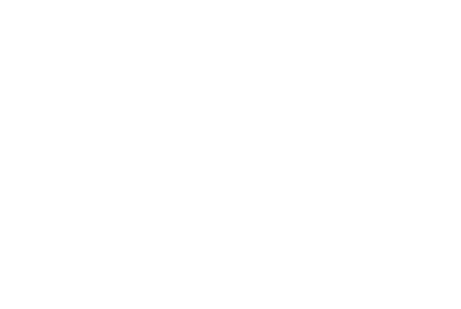 Velvet Line &mdash; Fine Line Tattoos